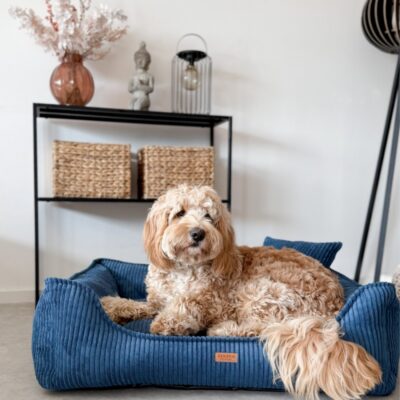 DENZOO Milano Navy Blue – Ortopedyczne legowisko, kanapa dla psa i kota, granatowe - obrazek 2