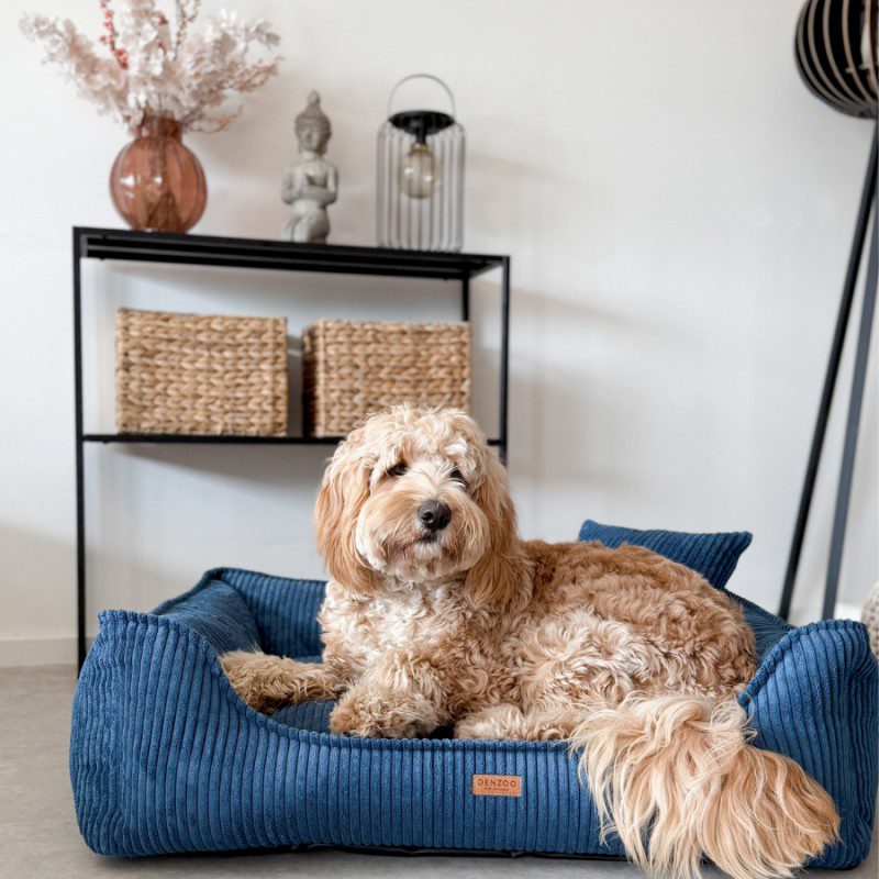 DENZOO Milano Navy Blue – Ortopedyczne legowisko, kanapa dla psa i kota, granatowe