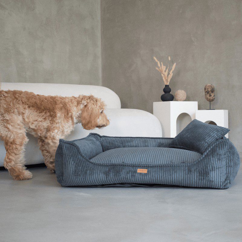 DENZOO Milano Dark Grey – Ortopedyczne legowisko, kanapa dla psa i kota, ciemnoszare
