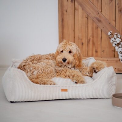 DENZOO Milano Beige – Ortopedyczne legowisko, kanapa dla psa i kota, beżowe - obrazek 2