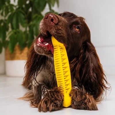 FIBOO Fiboone Dental - Gryzak dla psa w kształcie kości 19cm - obrazek 3