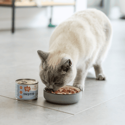 Perro CATering – Monobiałkowa karma mokra dla kota, indyk - obrazek 2
