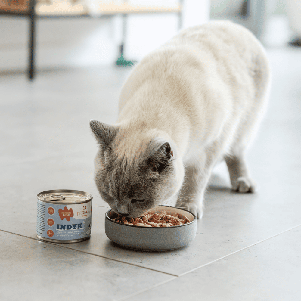 Perro CATering – Monobiałkowa karma mokra dla kota, indyk