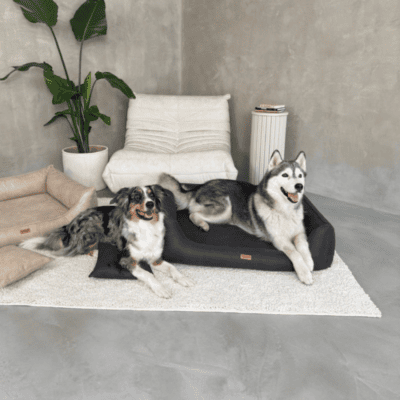 DENZOO Bergamo Dark Grey – Legowisko z materacem ortopedycznym, kanapa dla psa i kota, ciemnoszare - obrazek 7