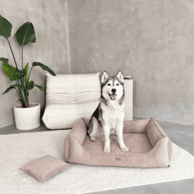 DENZOO Torino Dark Beige – Legowisko z materacem ortopedycznym, kanapa dla psa i kota, ciemnobeżowe - obrazek 2