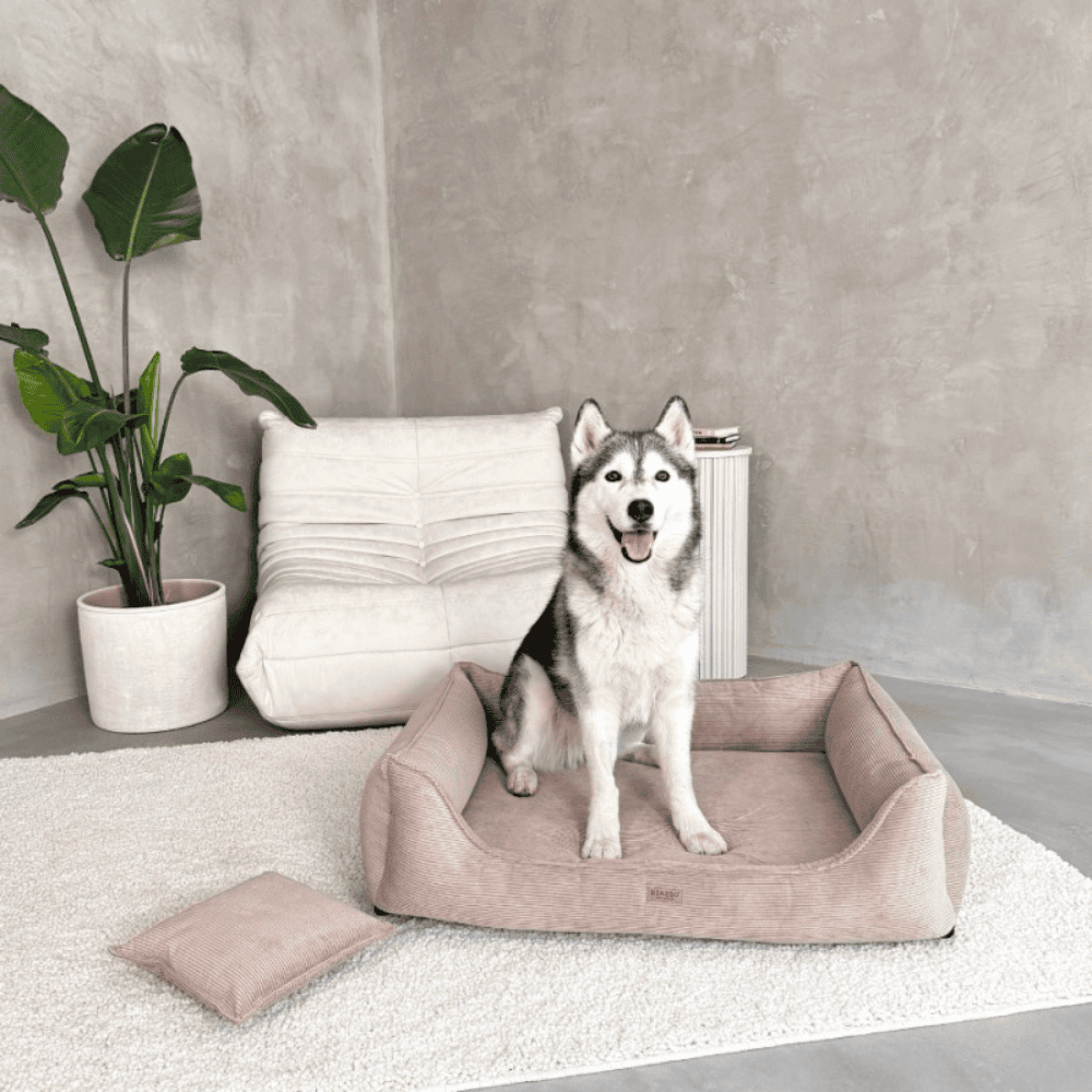 DENZOO Torino Dark Beige – Legowisko z materacem ortopedycznym, kanapa dla psa i kota, ciemnobeżowe