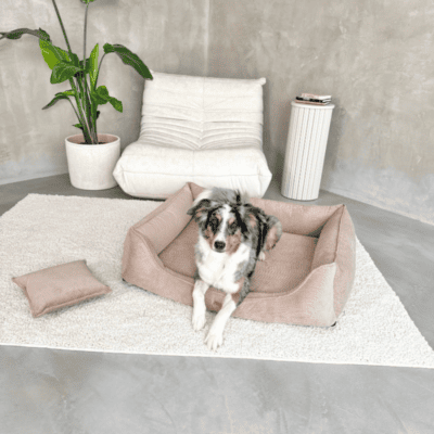 DENZOO Torino Dark Beige – Legowisko z materacem ortopedycznym, kanapa dla psa i kota, ciemnobeżowe - obrazek 6