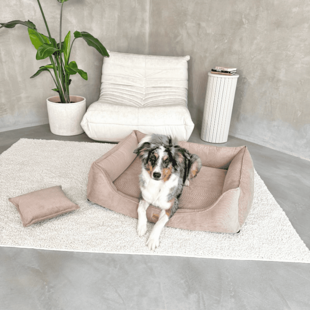 DENZOO Torino Dark Beige – Legowisko z materacem ortopedycznym, kanapa dla psa i kota, ciemnobeżowe