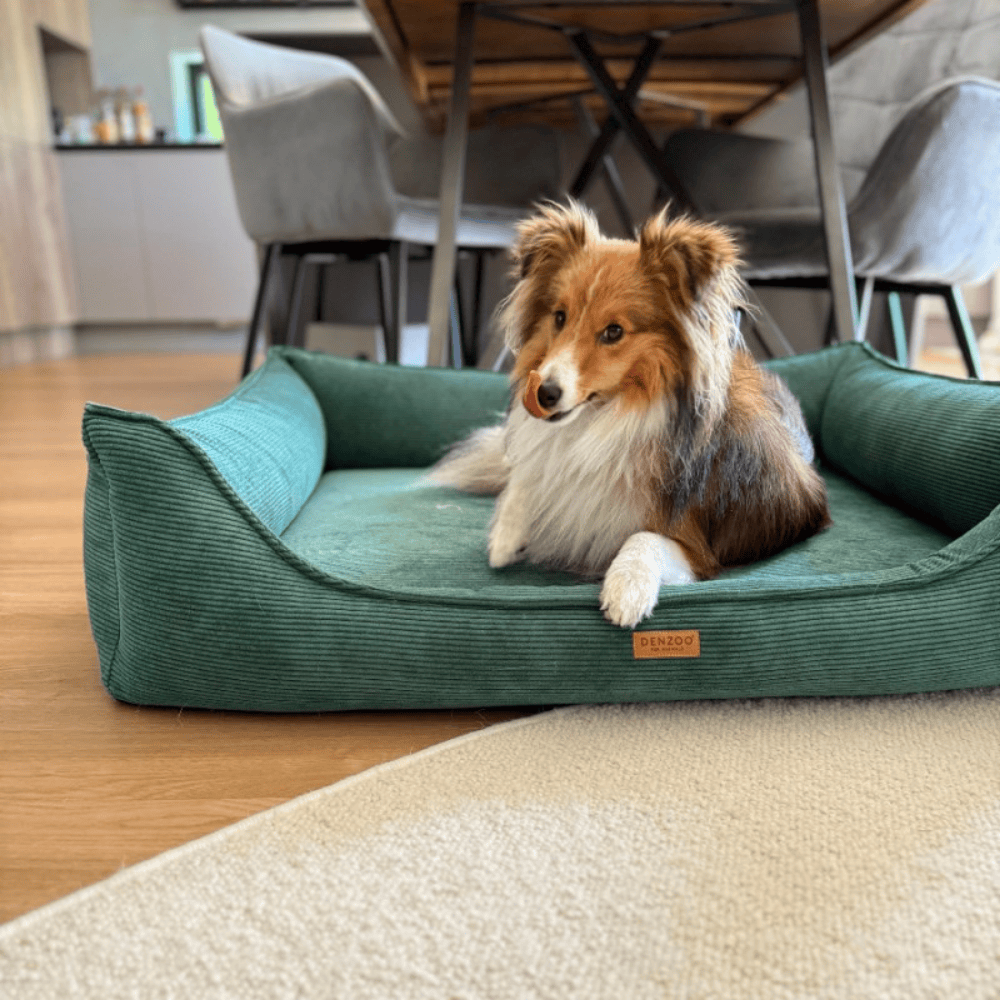 DENZOO Torino Bottle Green – Legowisko z materacem ortopedycznym, kanapa dla psa i kota, ciemnozielone