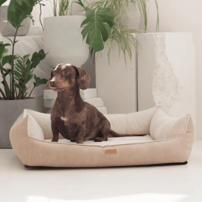 DENZOO Ancona Beige – Legowisko z materacem ortopedycznym, kanapa dla psa i kota, beżowe - obrazek 6