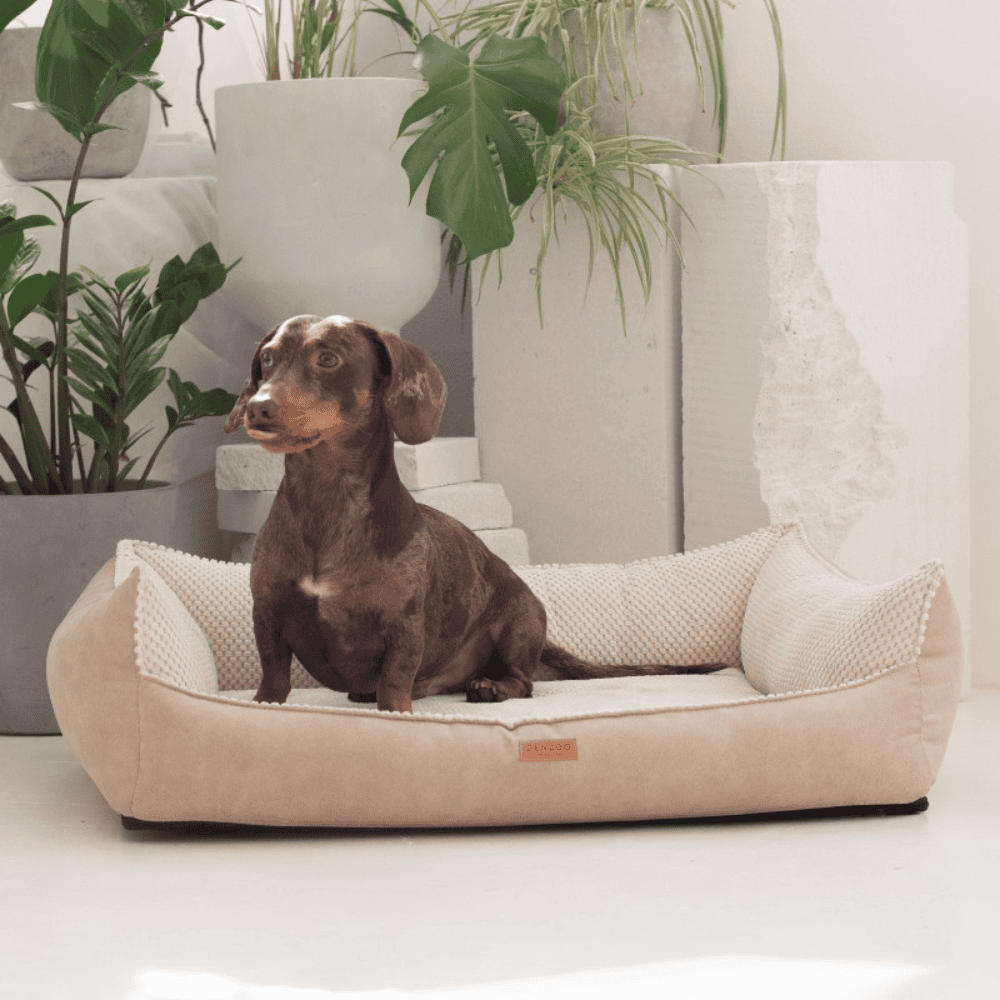 DENZOO Ancona Beige – Legowisko z materacem ortopedycznym, kanapa dla psa i kota, beżowe