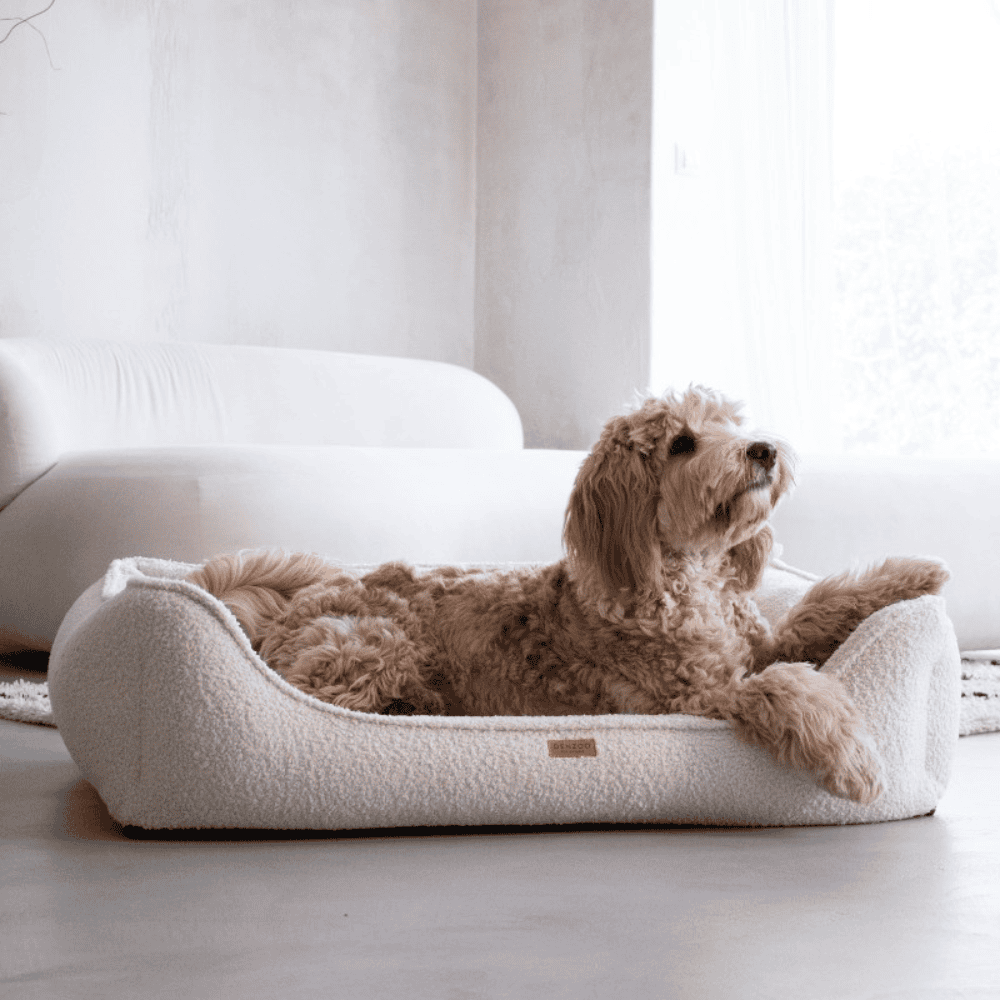 DENZOO Belluno Beige – Legowisko z materacem ortopedycznym, kanapa dla psa i kota, beżowe