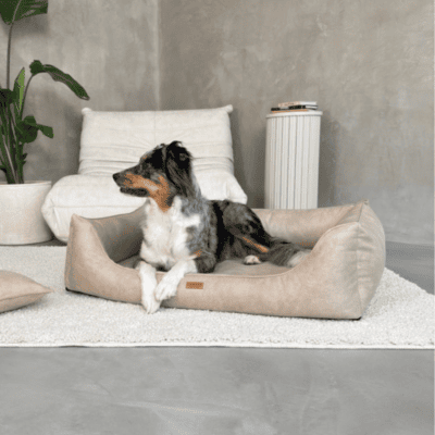 DENZOO Bergamo Beige – Legowisko z materacem ortopedycznym, kanapa dla psa i kota, beżowe - obrazek 2
