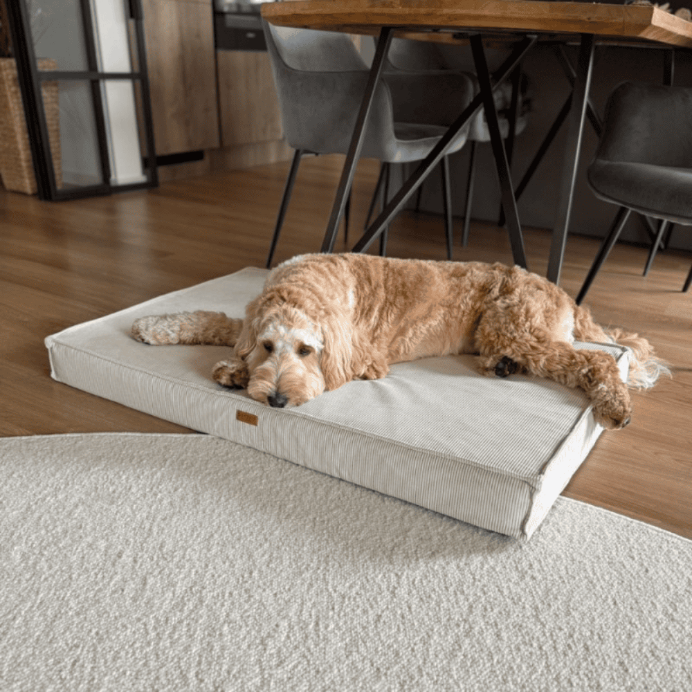 DENZOO Torino Beige – Materac ortopedyczny dla psa i kota, beżowy