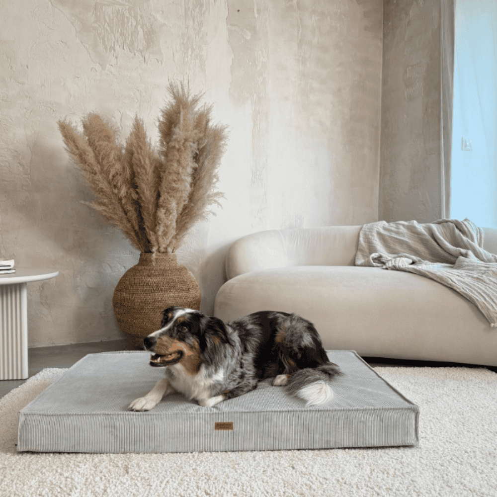 DENZOO Torino Grey – Materac ortopedyczny dla psa i kota, szary