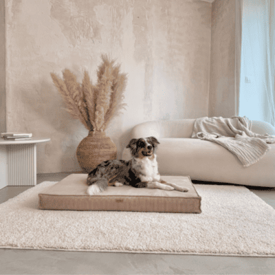 DENZOO Torino Dark Beige – Materac ortopedyczny dla psa i kota, ciemnobeżowy - obrazek 3