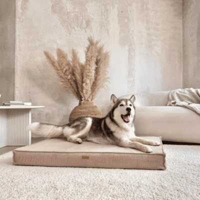 DENZOO Torino Dark Beige – Materac ortopedyczny dla psa i kota, ciemnobeżowy - obrazek 2