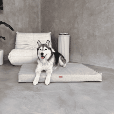 DENZOO Roma Beige – Materac ortopedyczny dla psa i kota, beżowy - obrazek 4