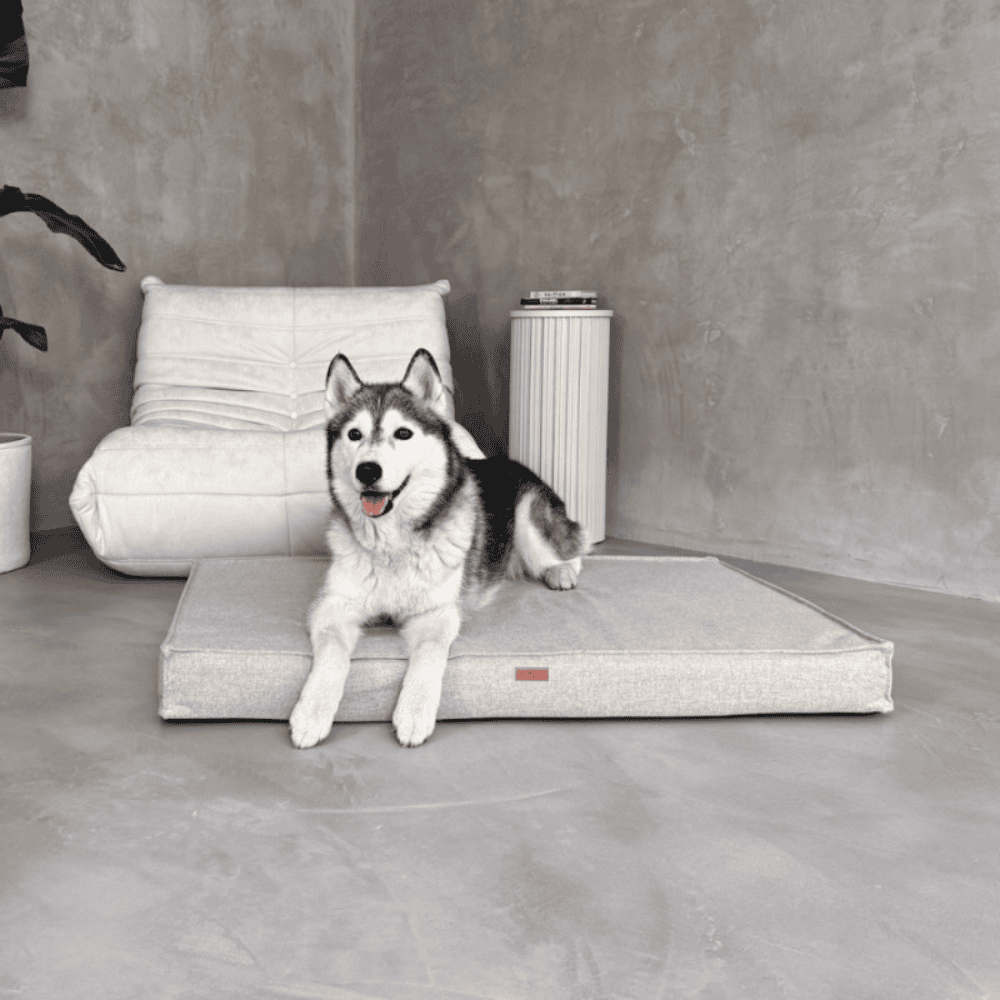 DENZOO Roma Beige – Materac ortopedyczny dla psa i kota, beżowy
