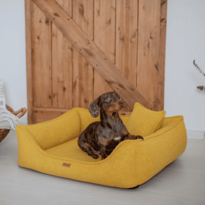 DENZOO Belluno Mustard – Legowisko z materacem ortopedycznym, kanapa dla psa i kota, musztardowe - obrazek 2