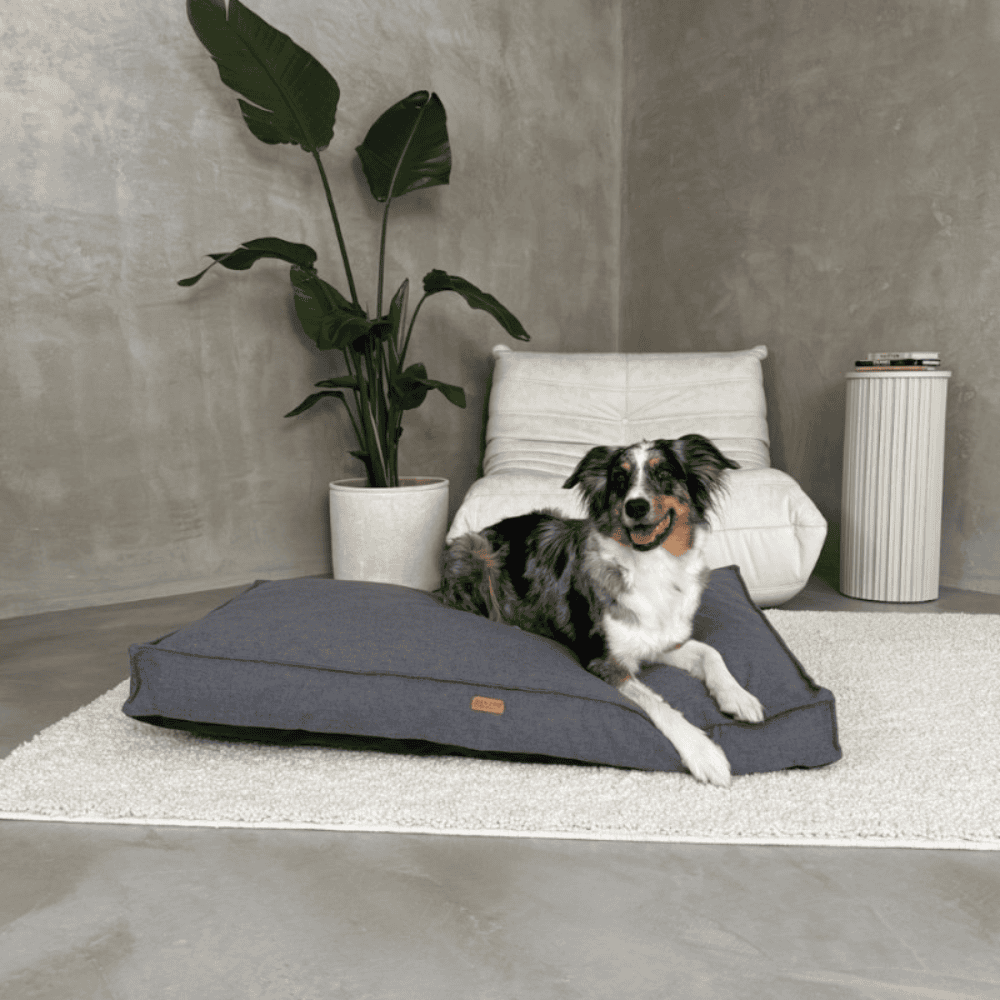 DENZOO Roma Dark Grey – Ortopedyczne legowisko, poducha dla psa i kota, ciemnoszare
