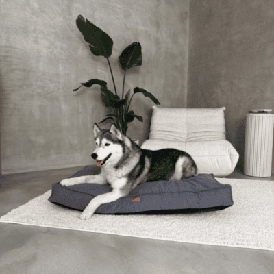 DENZOO Roma Dark Grey – Ortopedyczne legowisko, poducha dla psa i kota, ciemnoszare - obrazek 2