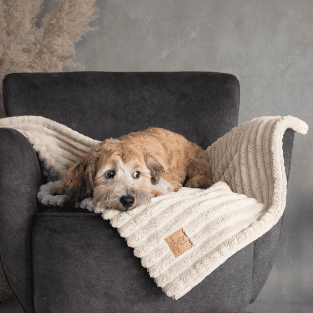 DENZOO Palermo Beige – Kocyk dla psa i kota, beżowy