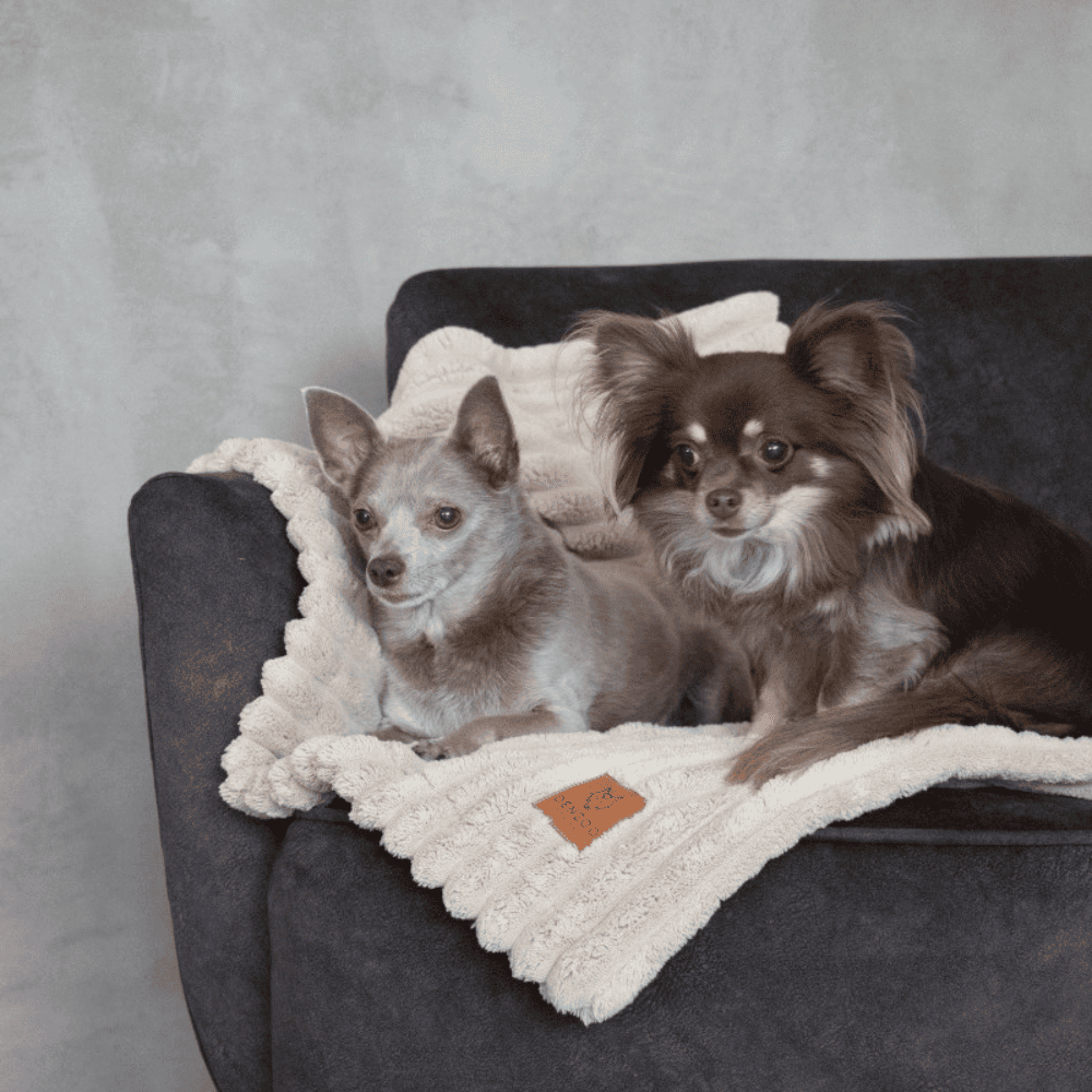 DENZOO Palermo Beige – Kocyk dla psa i kota, beżowy
