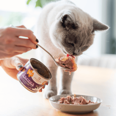 Perro CATering – Monobiałkowa karma mokra dla kota, kaczka - obrazek 2