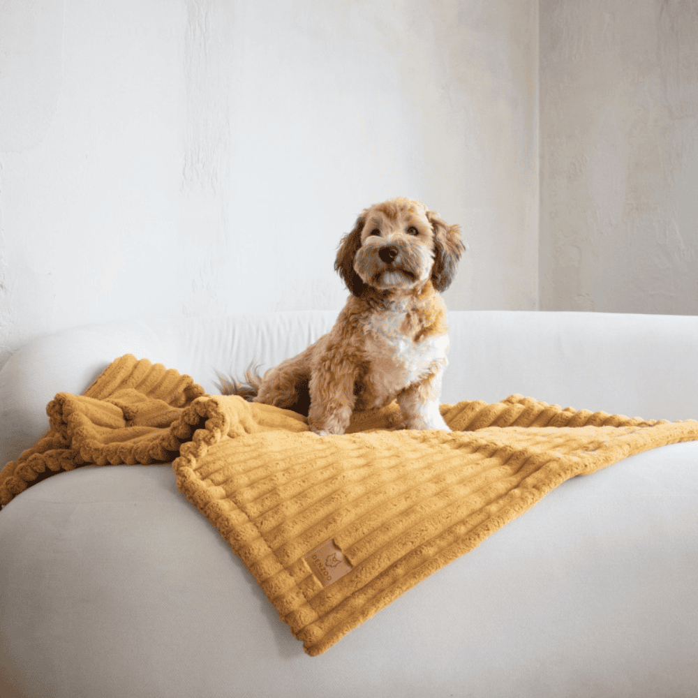 DENZOO Palermo Mustard – Kocyk dla psa i kota, musztardowy