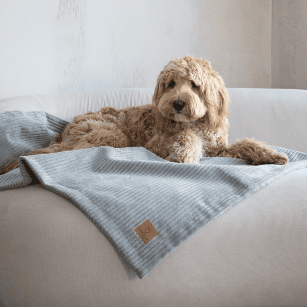 DENZOO Milano Grey – Kocyk dla psa i kota, szary