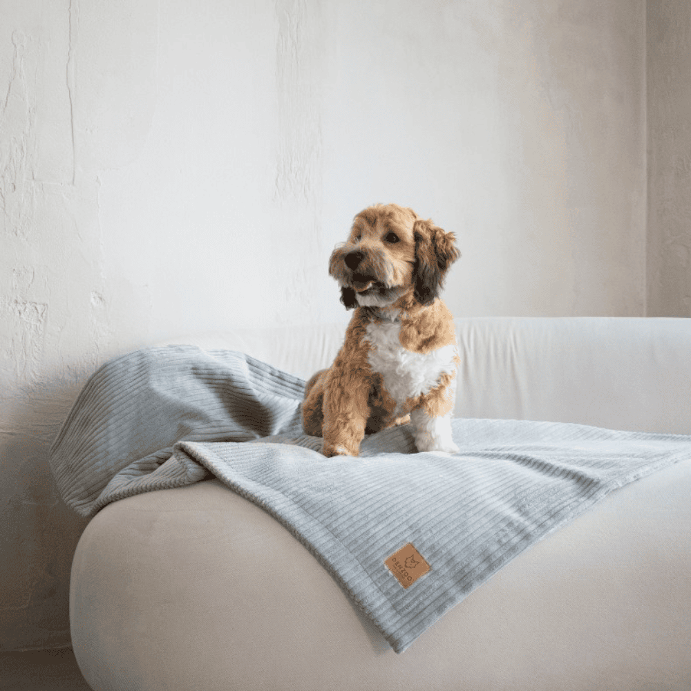 DENZOO Milano Grey – Kocyk dla psa i kota, szary