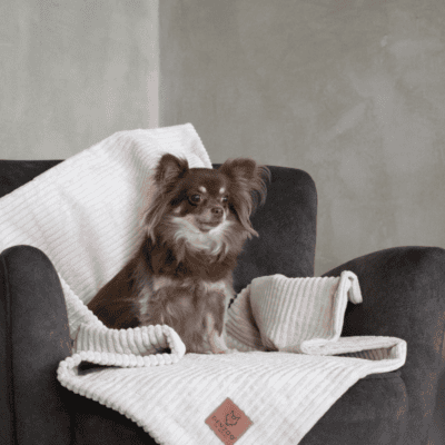 DENZOO Milano Beige – Kocyk dla psa i kota, beżowy - obrazek 3