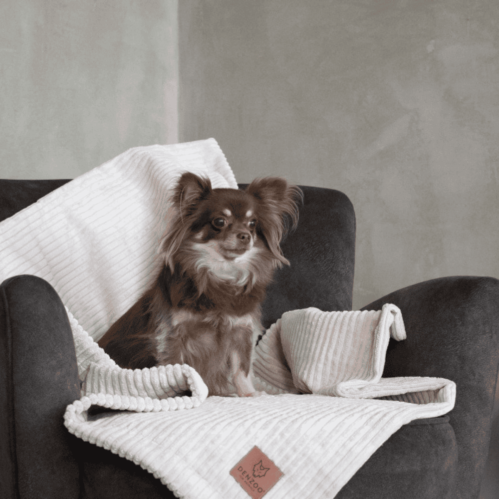 DENZOO Milano Beige – Kocyk dla psa i kota, beżowy