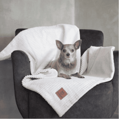 DENZOO Milano Beige – Kocyk dla psa i kota, beżowy - obrazek 2