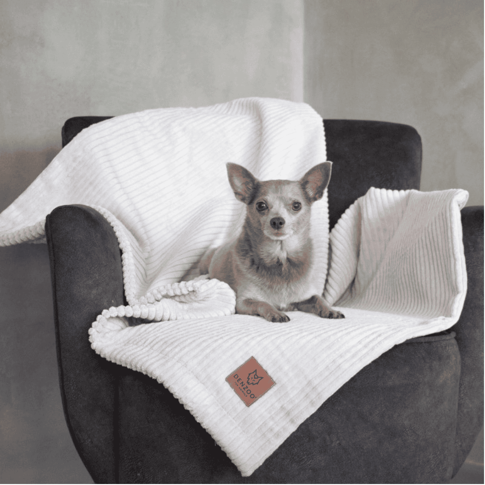 DENZOO Milano Beige – Kocyk dla psa i kota, beżowy