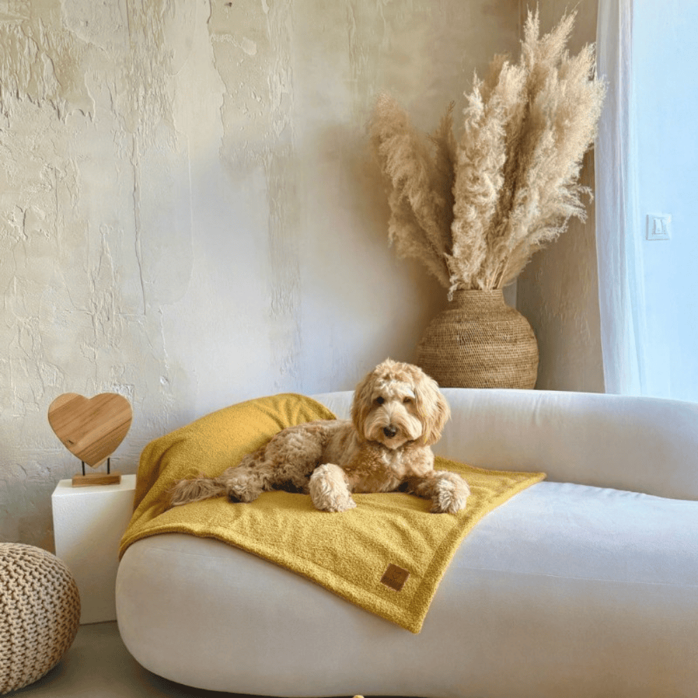 DENZOO Belluno Mustard – Kocyk dla psa i kota, musztardowy
