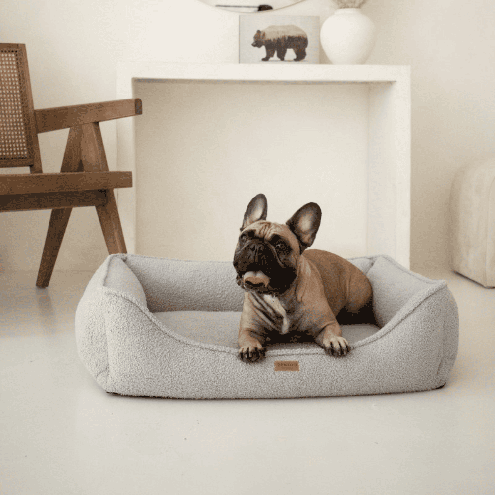 DENZOO Belluno Grey – Legowisko z materacem ortopedycznym, kanapa dla psa i kota, szare