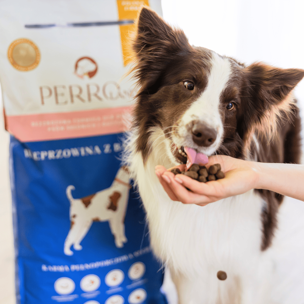 Perro – Bezzbożowa karma sucha dla dorosłych psów dużych i średnich ras, wieprzowina z batatami 12kg