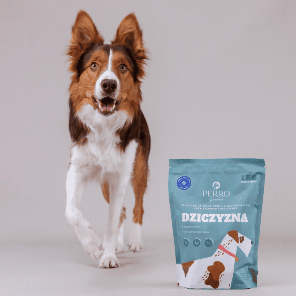 Perro Gourmet – Karma sucha tłoczona na zimno dla dorosłych psów dużych i średnich ras, dziczyzna