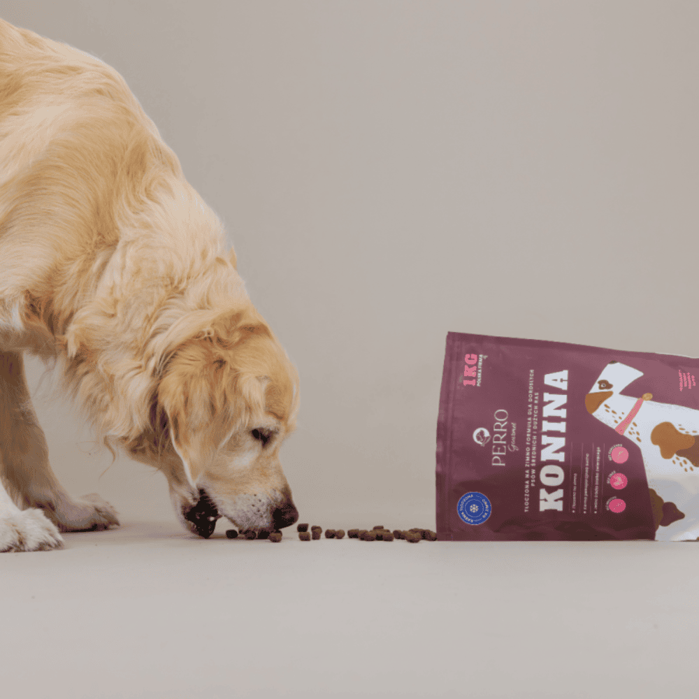 Perro Gourmet – Karma sucha tłoczona na zimno dla dorosłych psów dużych i średnich ras, konina