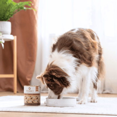 Perro – Monobiałkowa karma mokra dla dorosłych psów, indyk z cukinią - obrazek 4