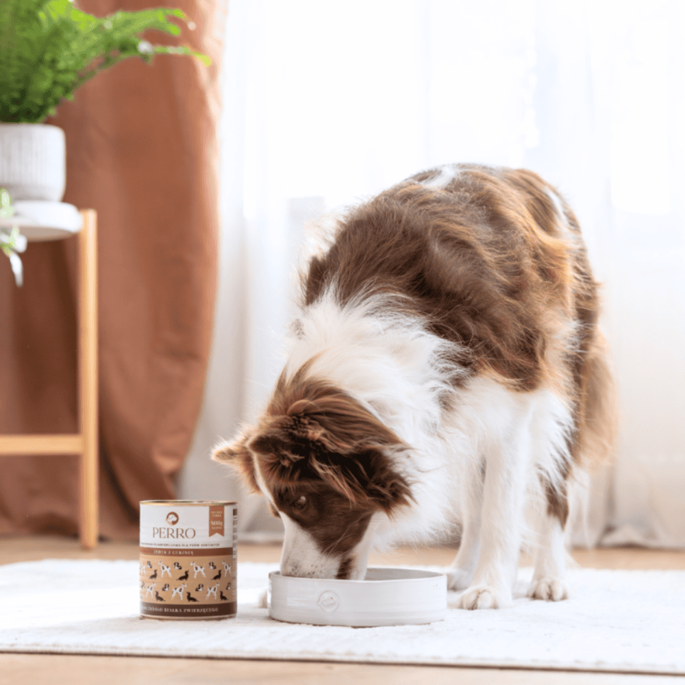 Perro – Monobiałkowa karma mokra dla dorosłych psów, indyk z cukinią
