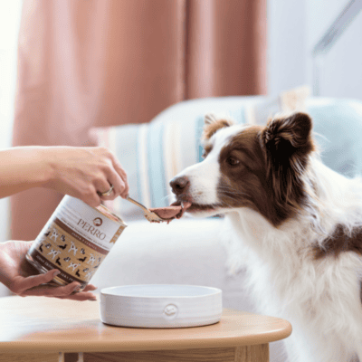 Perro – Monobiałkowa karma mokra dla dorosłych psów, indyk z cukinią - obrazek 3