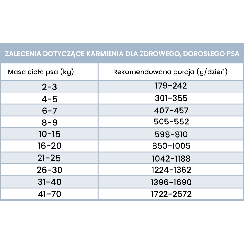 Perro – Monobiałkowa karma mokra dla dorosłych psów, jagnięcina z dynią