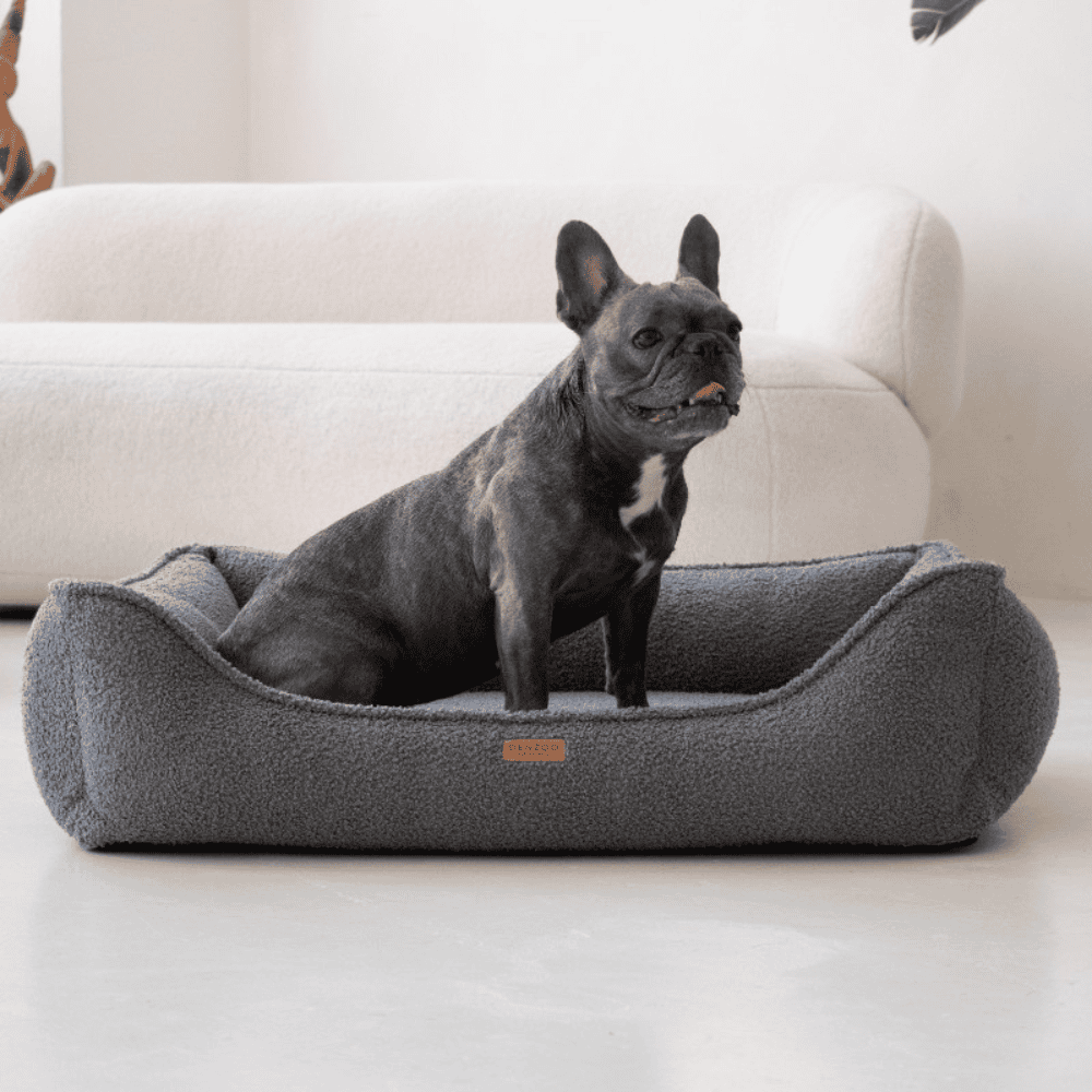 DENZOO Belluno Dark Grey – Legowisko z materacem ortopedycznym, kanapa dla psa i kota, ciemnoszare