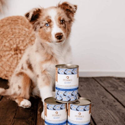 Perro Gourmet Junior – Monobiałkowa karma mokra dla szczeniąt, jeleń z gruszką - obrazek 3