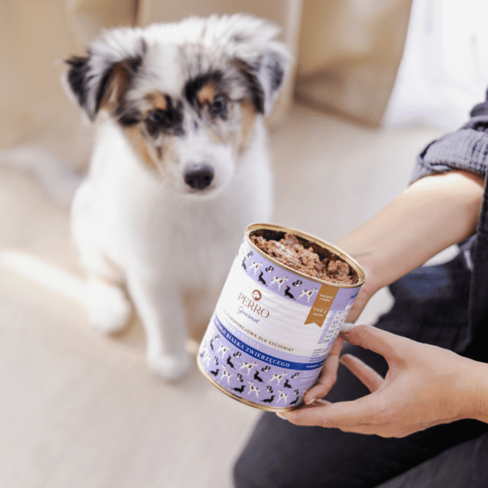 Perro Gourmet Junior – Monobiałkowa karma mokra dla szczeniąt, królik z dynią