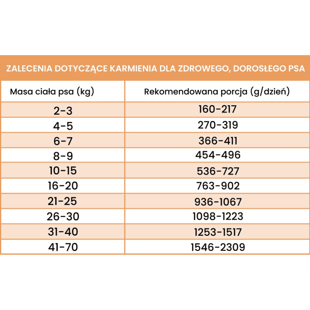 Perro Gourmet – Monobiałkowa karma mokra dla dorosłych psów, cielęcina z cukinią