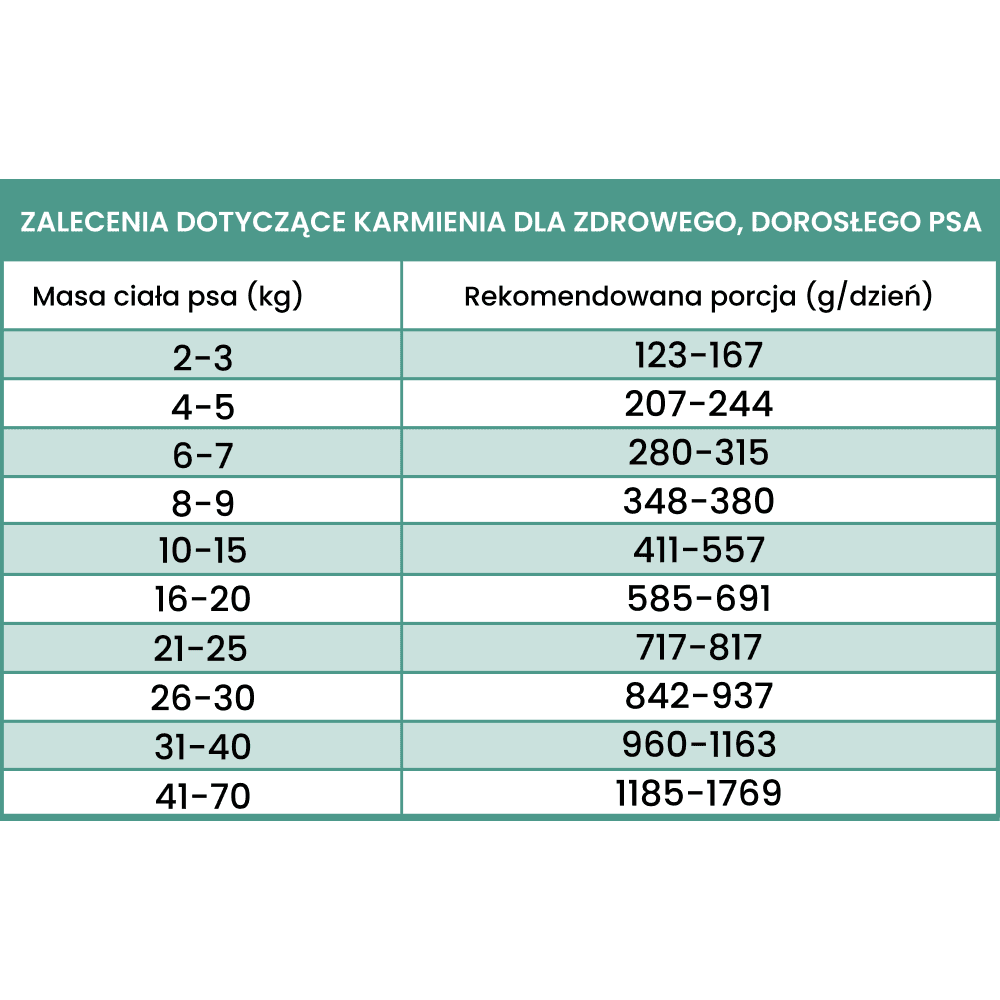 Perro Gourmet – Monobiałkowa karma mokra dla dorosłych psów, konina z korzeniem pietruszki